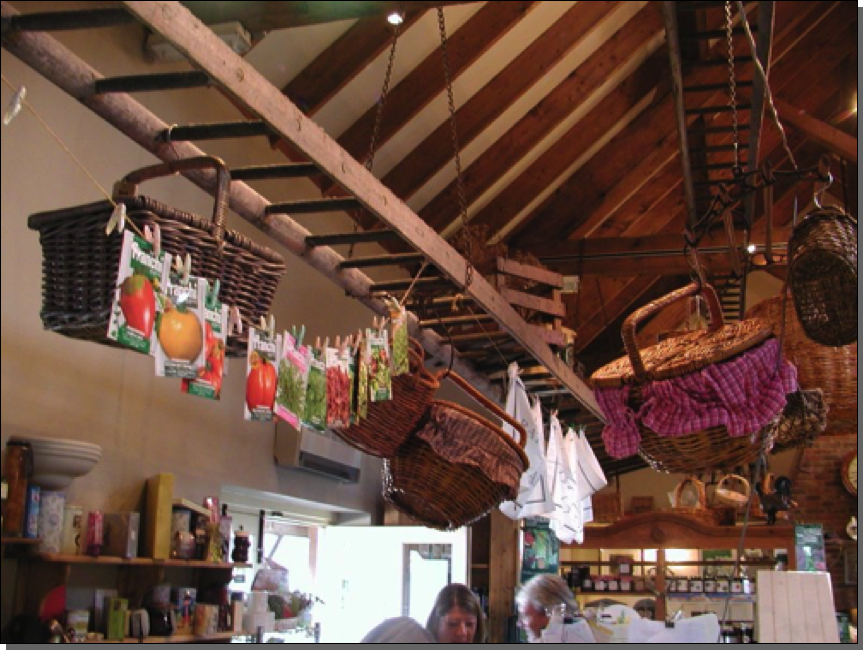 Old stack ladders used in roof decoration at 
Abbey Parks Farm Shop

